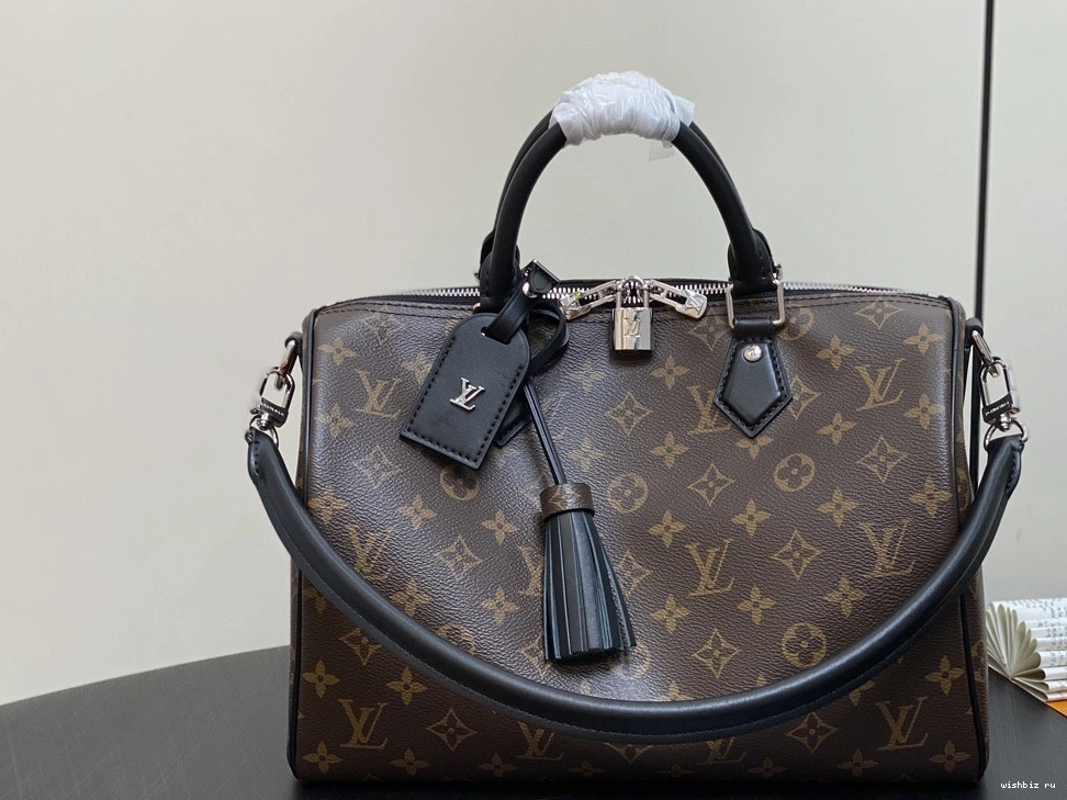 WIS Soft Speedy Vuitton Dark Louis 30 0308